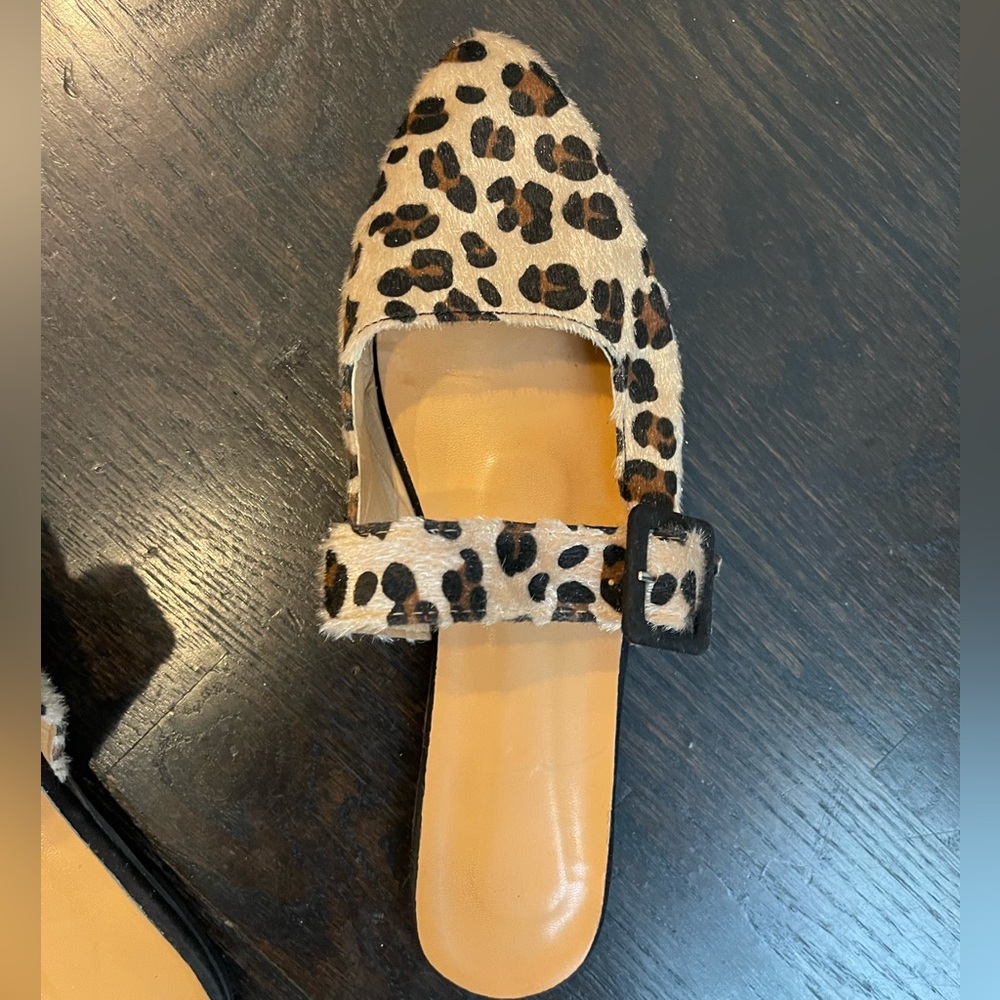 Leopard Flats - Picture 14 of 15